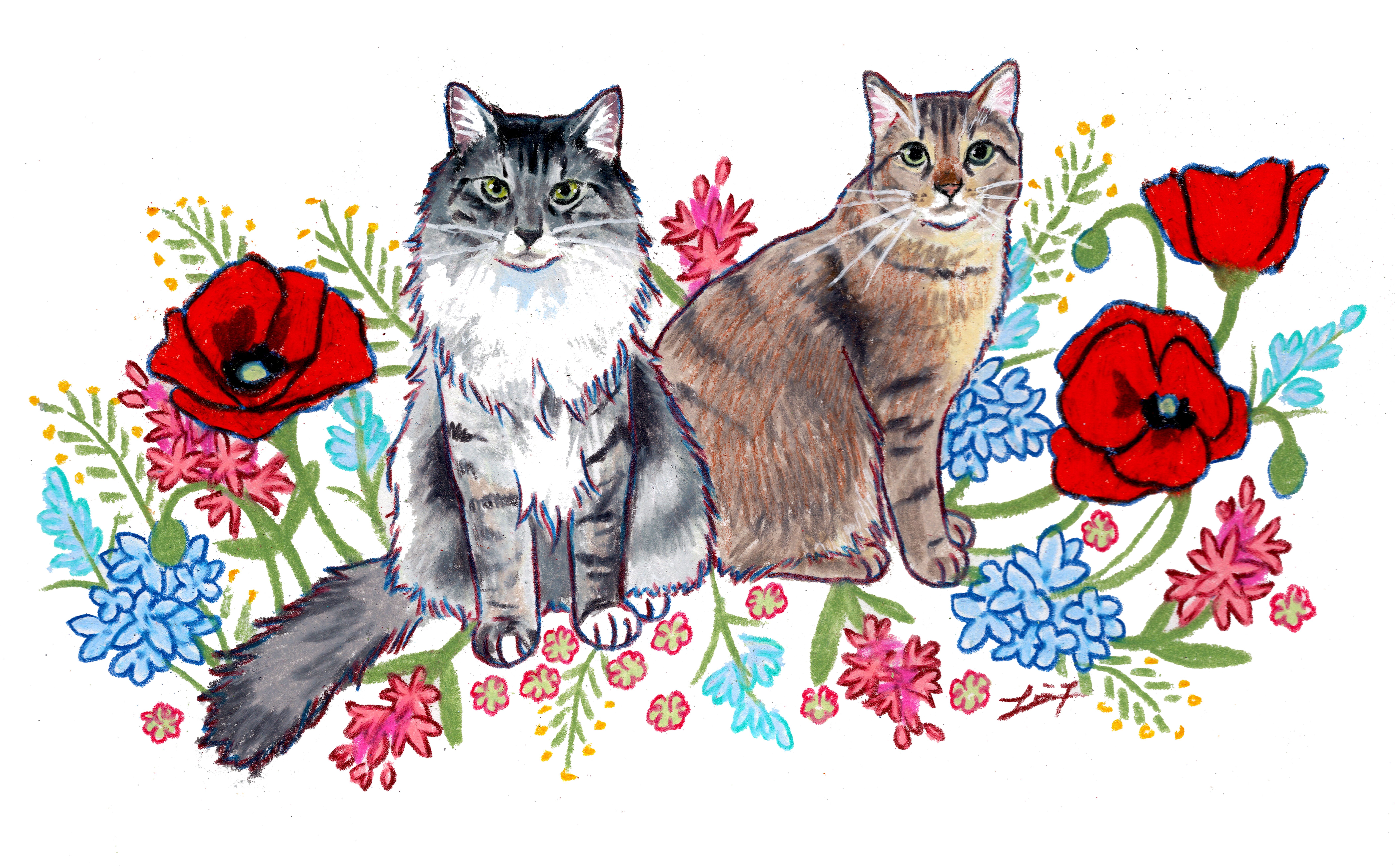 Cat portrait