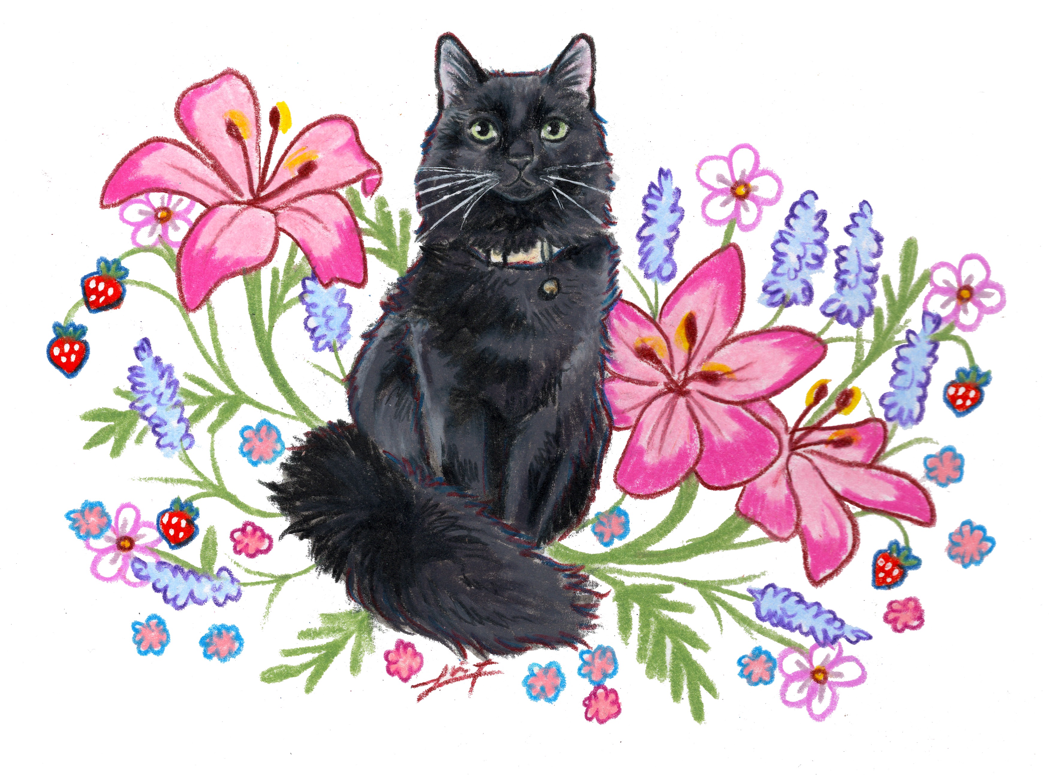 Cat portrait