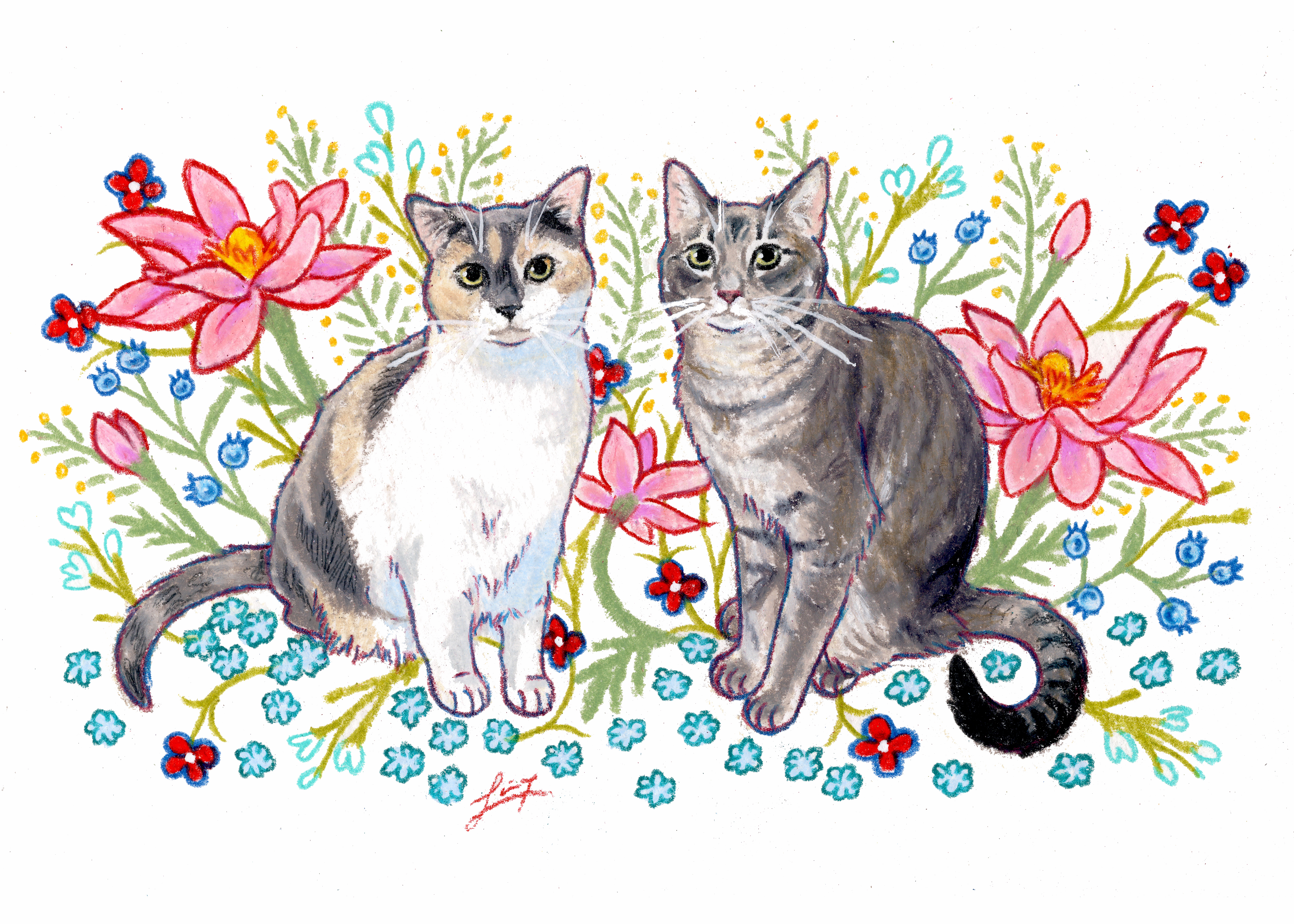 Cat portrait