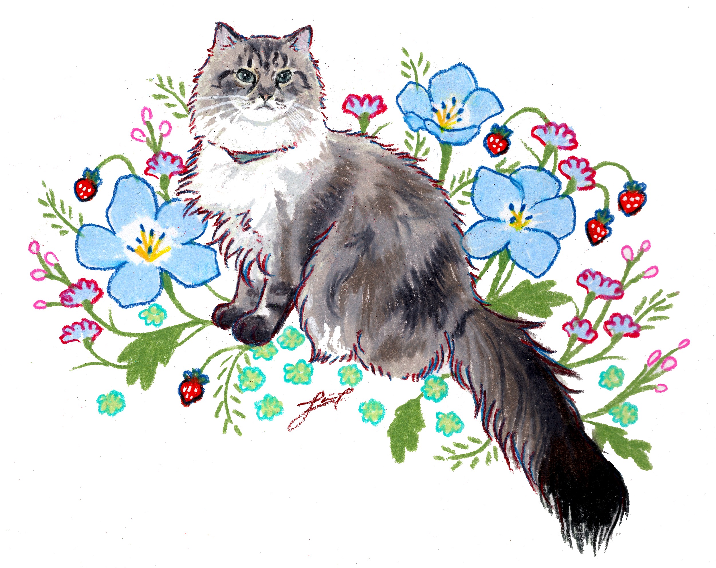 Cat portrait
