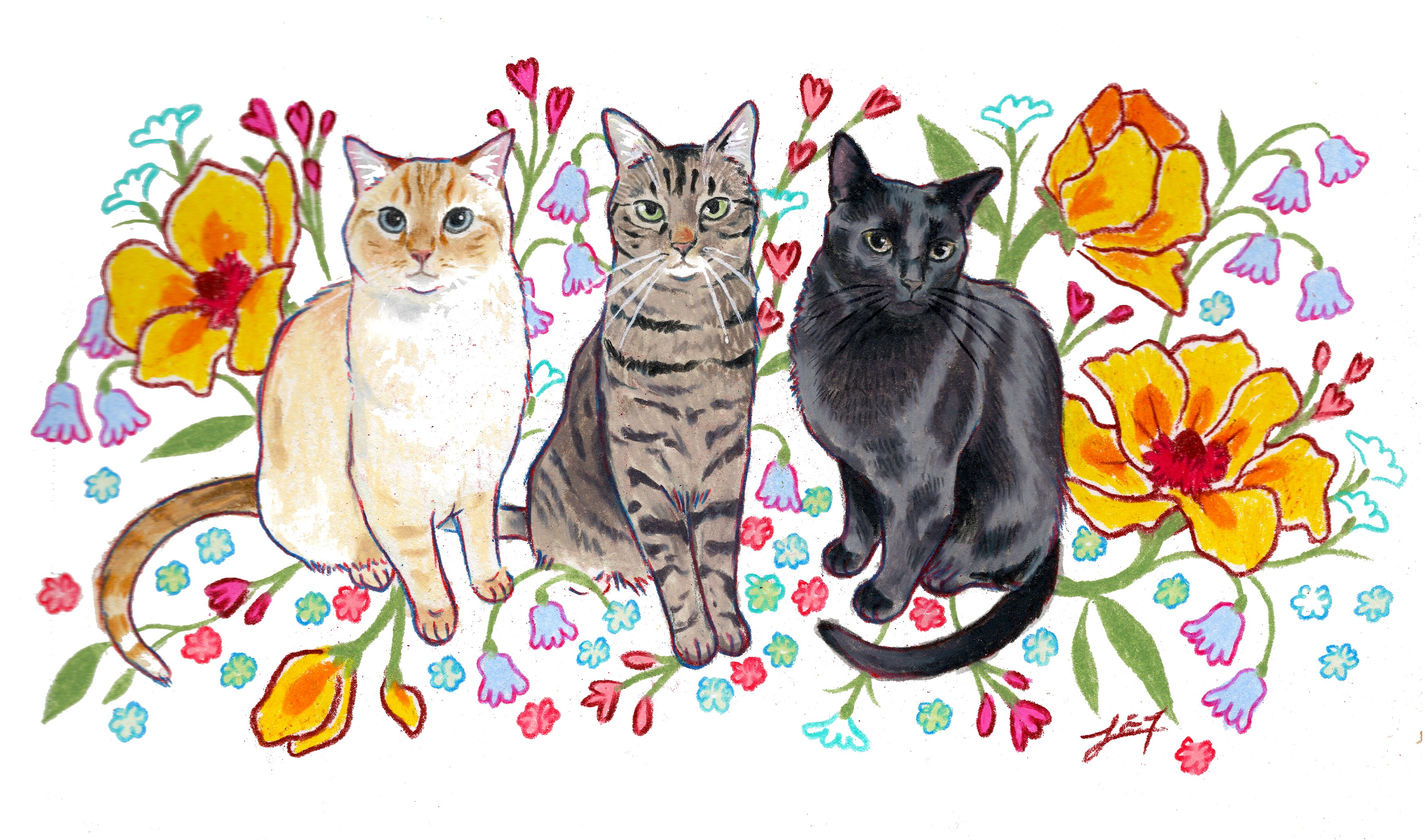Cat illustration