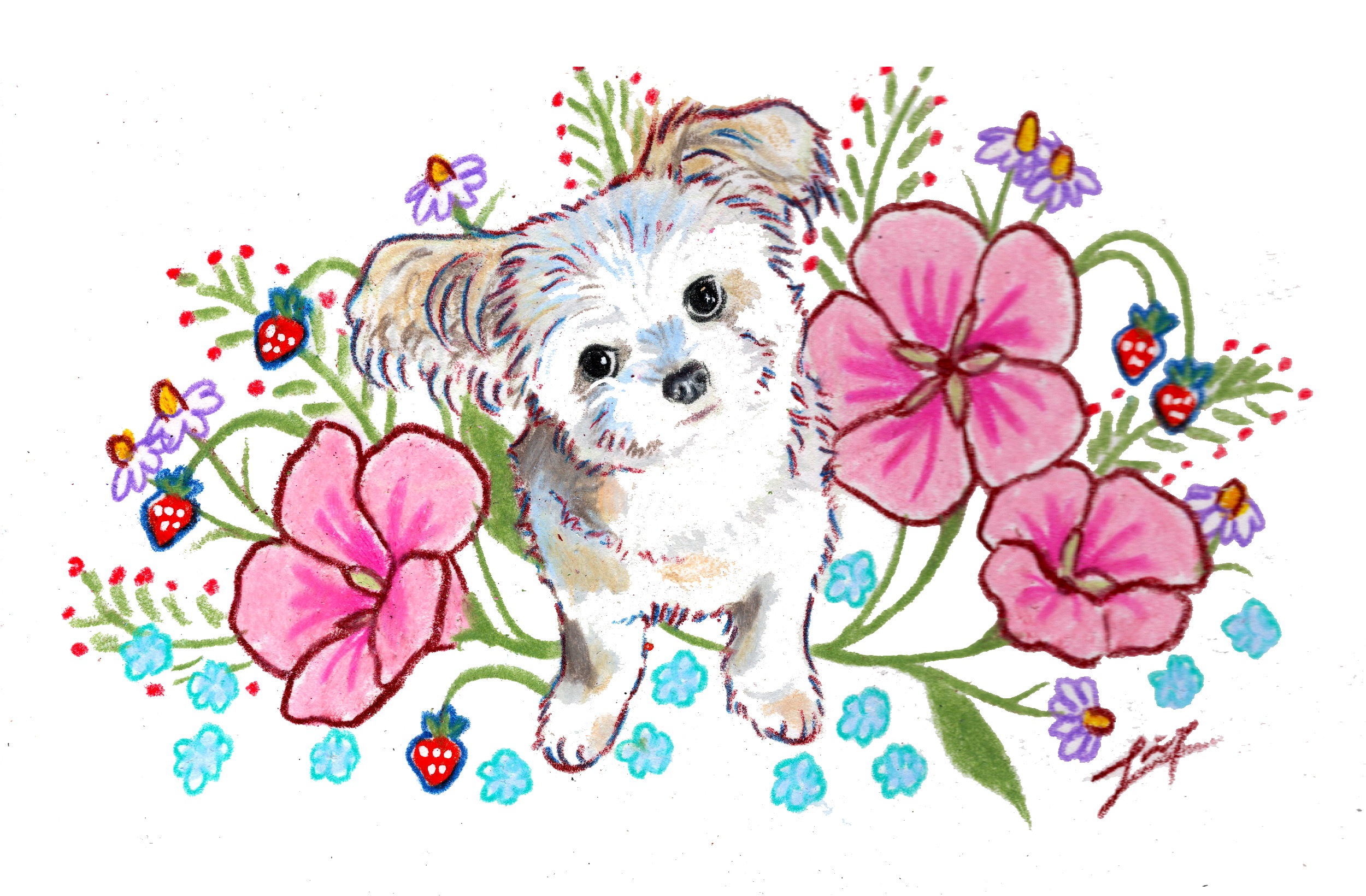 Dog portrait