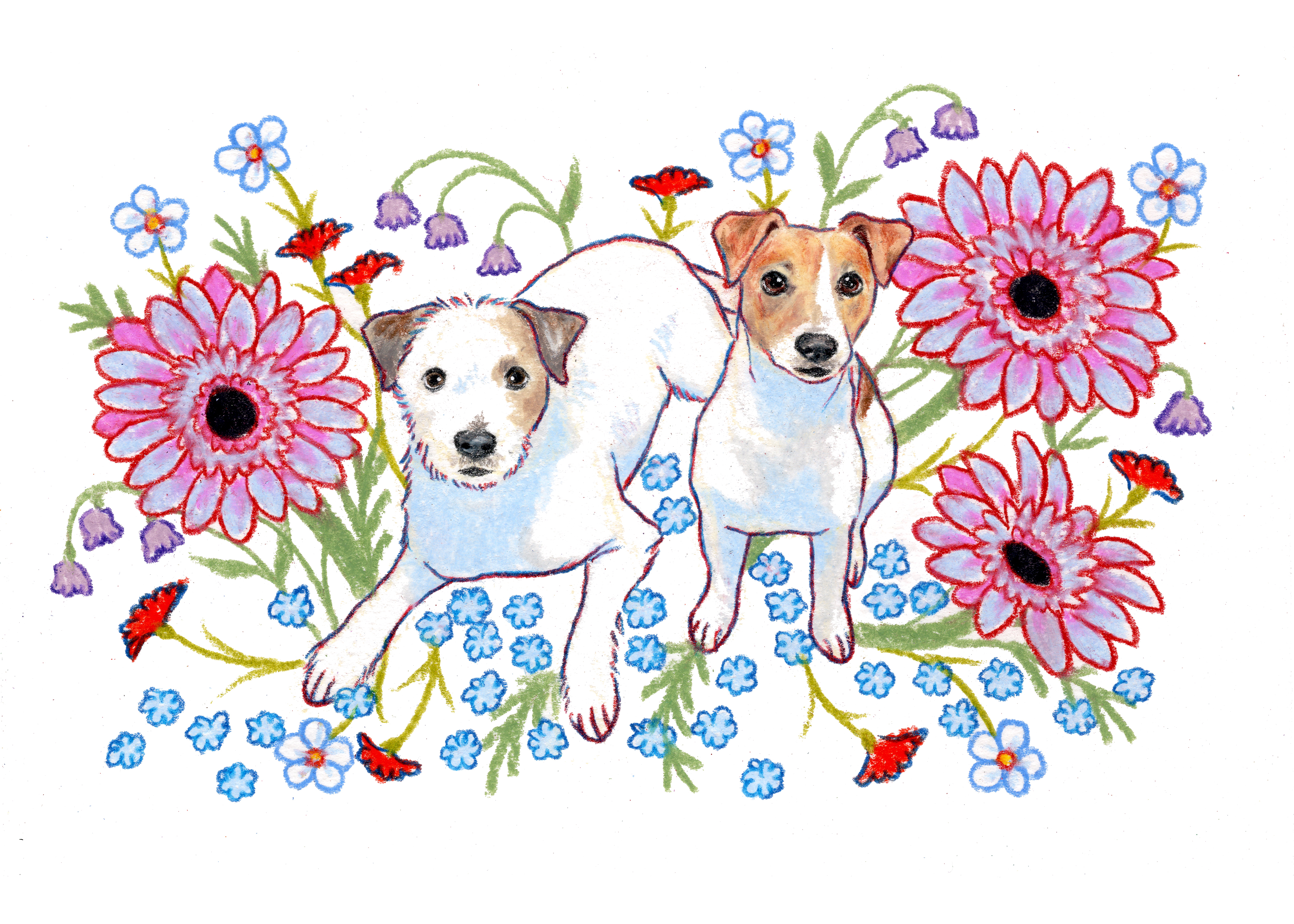 Dog portrait