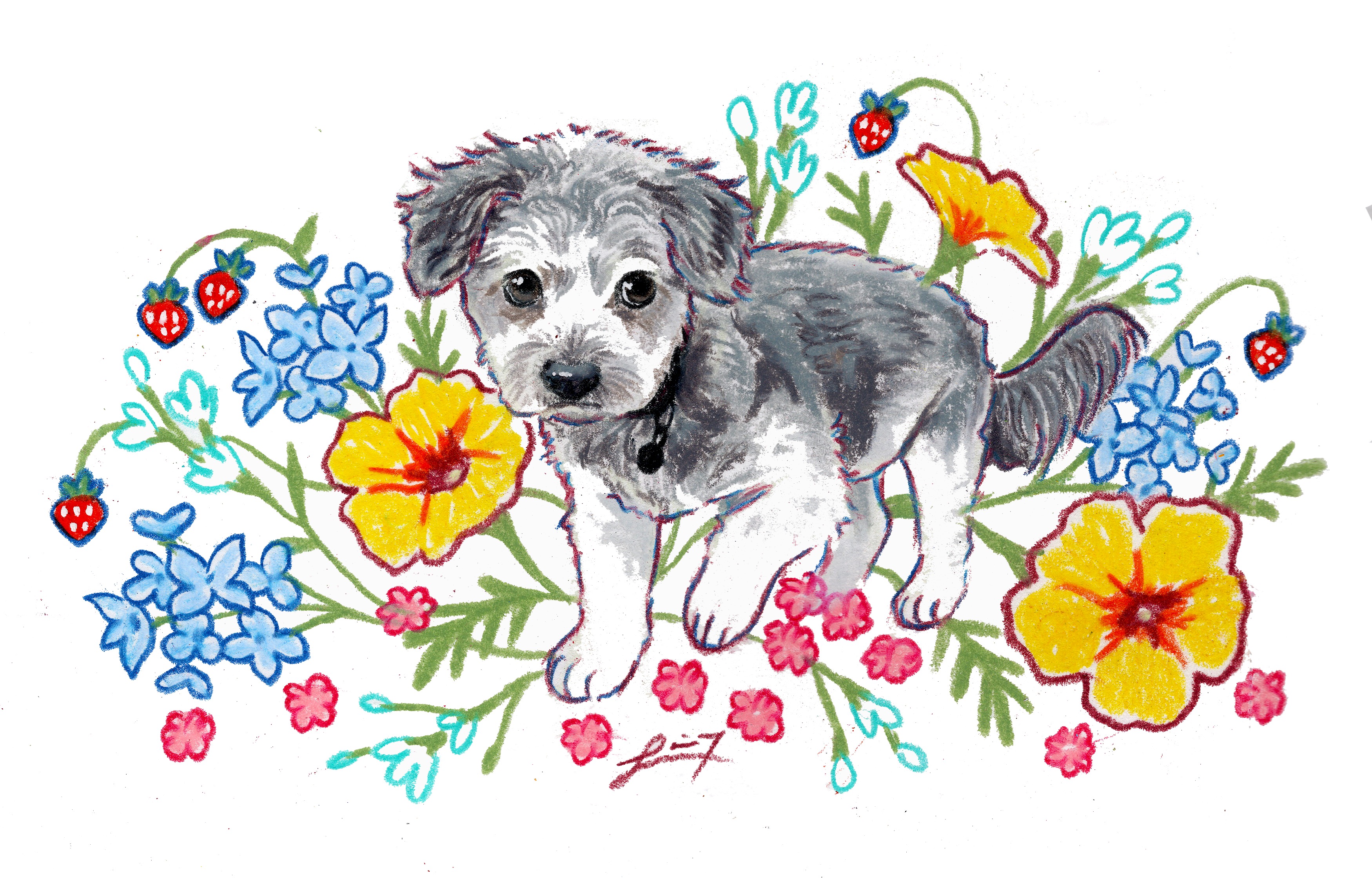 Dog portrait